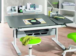   Paidi Diego GT (.130 ) 