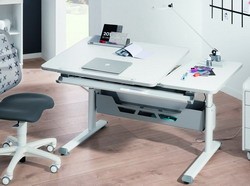   Paidi Diego GT (.130 )