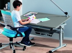   Paidi Diego (. 120 ) 