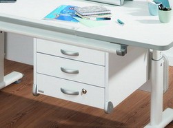  Paidi Diego (   ). !  50%!